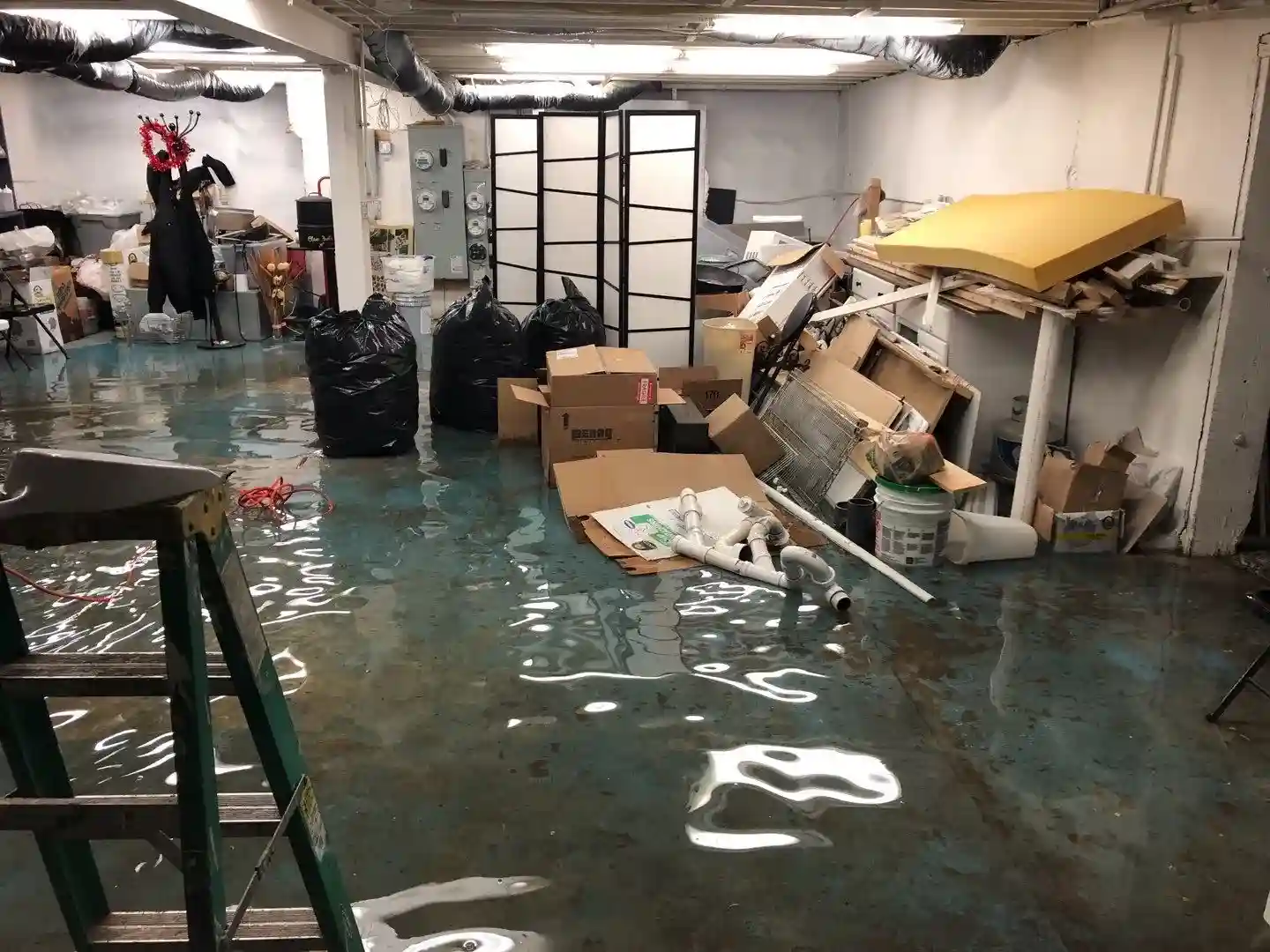 WDR PRO’s - Water Damage Restoration Service
